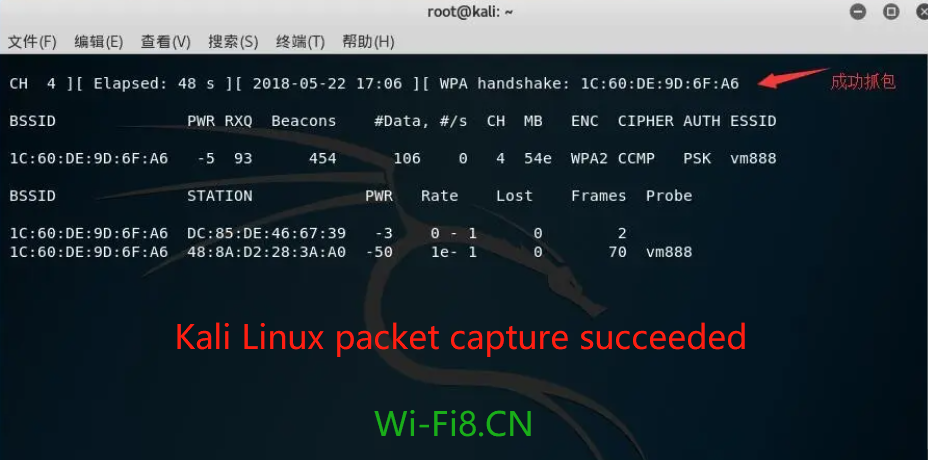 Kali Linux packet capture succeeded