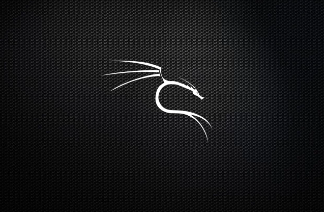 kali linux